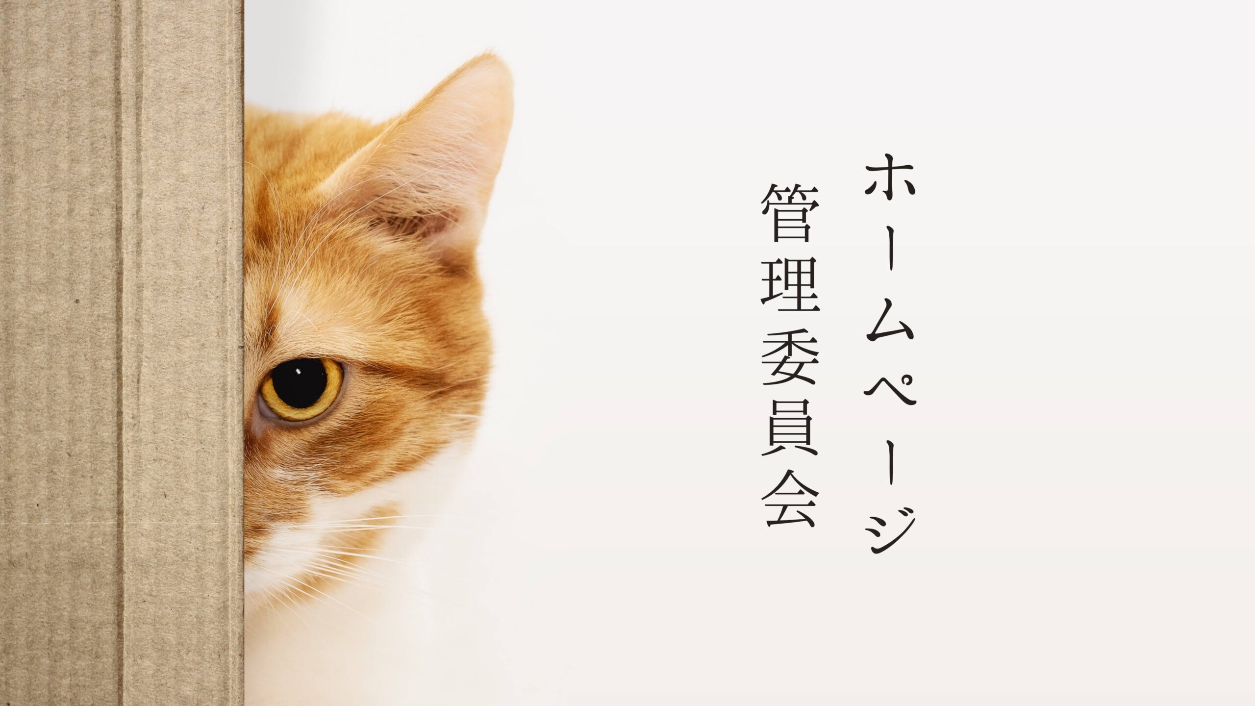 ホームページ管理委員会